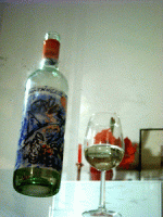 Grueve-Jurtschitsch-035