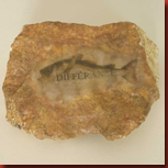 teichert_sabina_differance