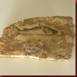 teichert_sabina_terrain_der_zeit